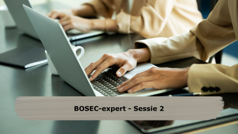 BOSEC-EXPERTSESSIES 2026 4 dagen Sessie 2